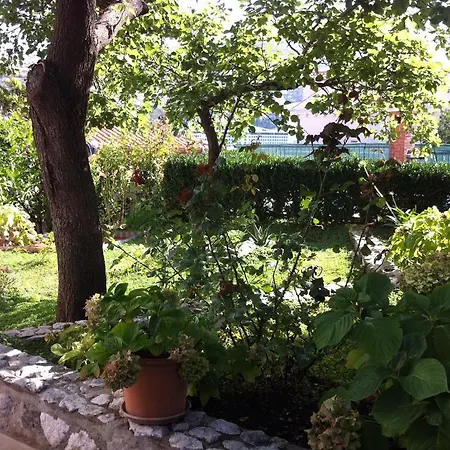 Vica Apartmán Dubrovník